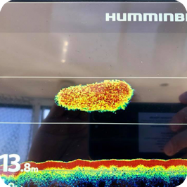 Humminbird Helix ed i Bianchetti